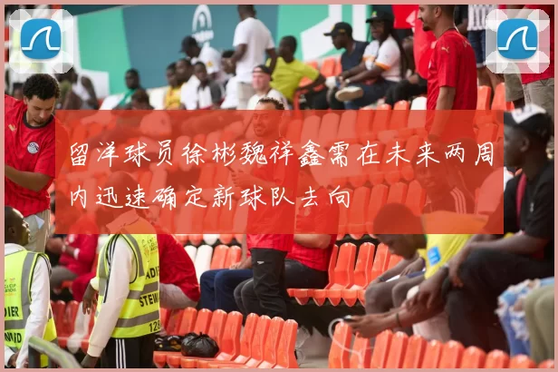留洋球员徐彬魏祥鑫需在未来两周内迅速确定新球队去向