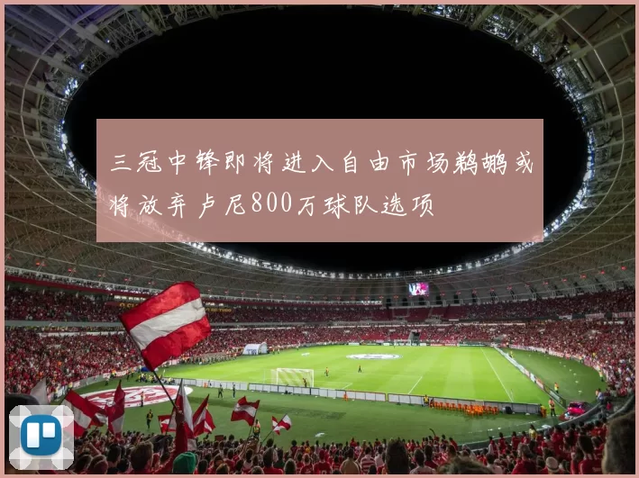 三冠中锋即将进入自由市场鹈鹕或将放弃卢尼800万球队选项